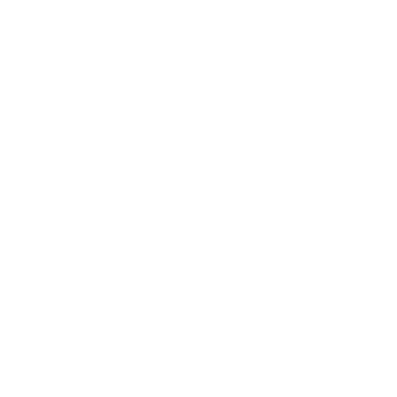 Floripa el festival Store 